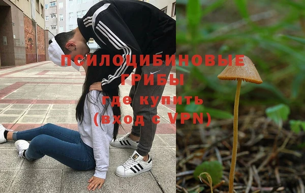 таблы Армянск