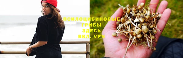 spice Алексин